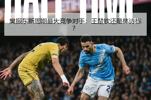 樊振东新周期最大竞争对手：王楚钦还是林诗栋？